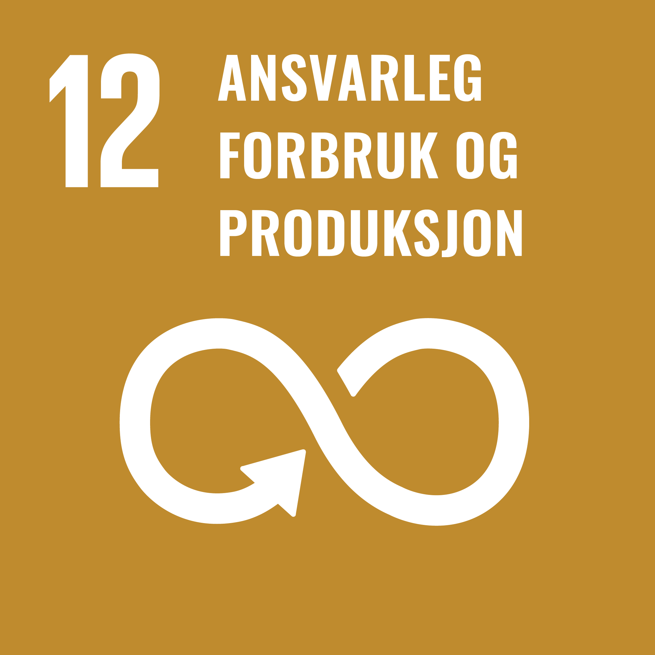 berekraftsmål 12