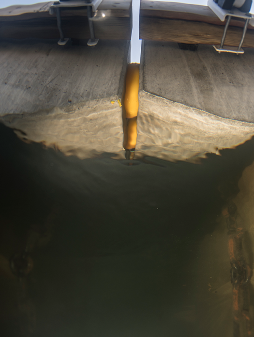 Buffere mellom betongbrygger fotografert under vann