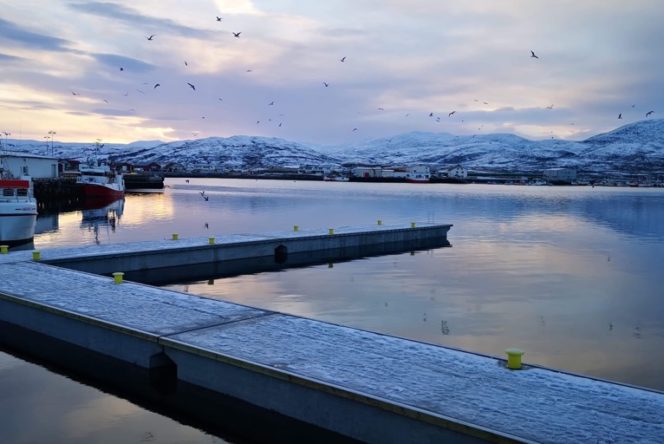 Gamvik-Nordkyn Havn KF - Liggekai for redningsskøyte og fiskeriflåten.