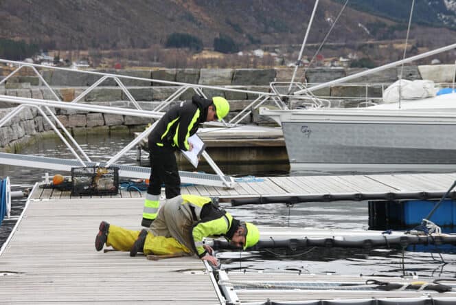 Service og vedlikehold på marina